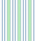 IMAGE_T