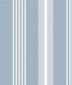IMAGE_T