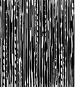 IMAGE_T