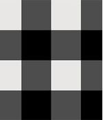 IMAGE_T