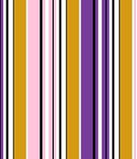 IMAGE_T