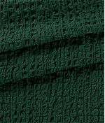 IMAGE_T