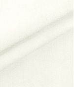 IMAGE_T