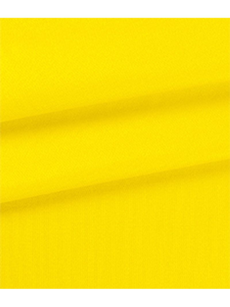 IMAGE_T