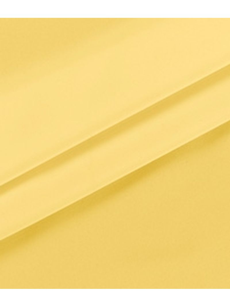 IMAGE_T