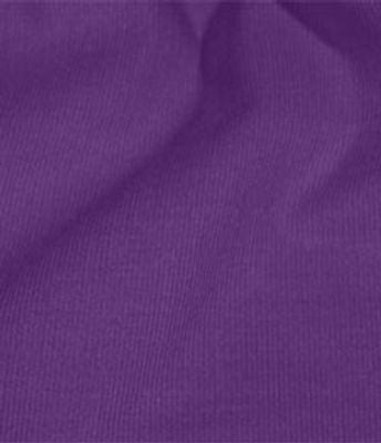 VLD 21 CAN PURPLE DAMSON