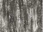 IMAGE_L