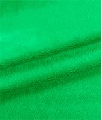 IMAGE_T