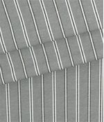 IMAGE_T