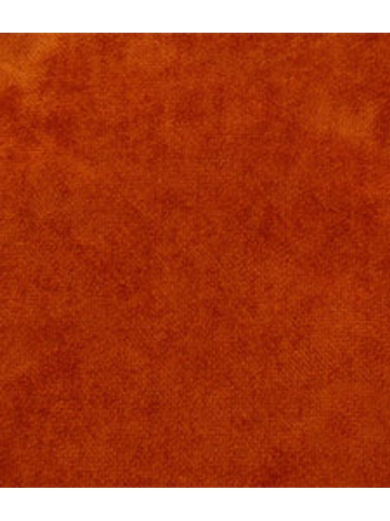 IMAGE_T