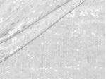 IMAGE_L
