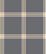 IMAGE_T