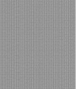 IMAGE_T